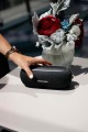 Harman Kardon Luna