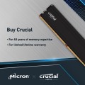 Crucial Pro DDR5 1x32Gb