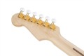 Fender Richie Kotzen Strat