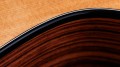 Taylor 254ce Plus
