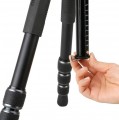Vanguard VEO 3T+ 264AB