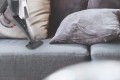 Hoover H-Free 300 HF 322 AFP 011