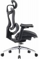 Sihoo DORO C300