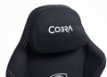 Cobra Player 5.0 CRF53