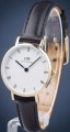 Daniel Wellington Petite Sheffield DW00100686