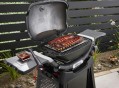 Weber Q1100N