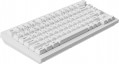 Keychron V1 Ultra Red Switch