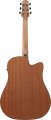 Ibanez AAD51LCE