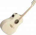 Ibanez AAD77M1E