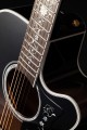 Takamine EF450C-TT