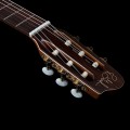Godin Etude Q1T