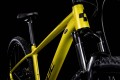 Cube Analog 29 2022