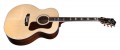 Guild F-55E