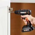 Worx WX100