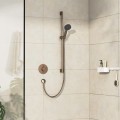 Hansgrohe DuoTurn S 75618000