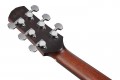 Ibanez AAM780E