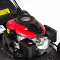 NAC LS56-196L-HSDS-JR