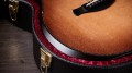 Taylor Builder's Edition 914ce WHB