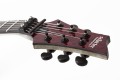 Schecter C-1 FR S Apocalypse