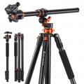 K&F CONCEPT T254A7BH28L