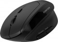 Canyon CNS-CMSW25