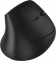 Canyon CNS-CMSW25