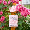 Kolorky Day Flowers ECO M