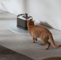 PETLIBRO Dockstream Cordless Fountain