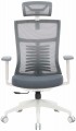 OfficePro Balance OC550