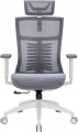 OfficePro Balance OC620