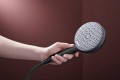 Hansgrohe Raindance Alive Select S 125 24500000