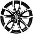 MIM Evo001
