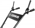 Cedrus GLX 480F