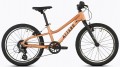 Attabo Rash 20