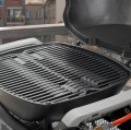 Weber Q1100N