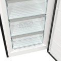 Gorenje FN 619 EABK6