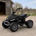 Bambi M6242EL
