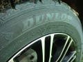 Dunlop SP Sport LM703