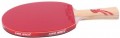 DHS Gold Medal Ma Long 01