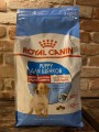 Royal Canin Medium Puppy 10 kg