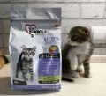 1st Choice Kitten Chaton Chicken 10 kg