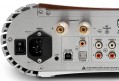 Gato Audio DIA-250S