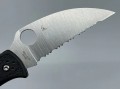 Spyderco Endela C243FSWCBK