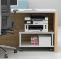 Canon MAXIFY GX6550