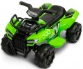 Toyz Mini Raptor