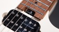 EVH Wolfgang WG Standard