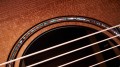 Taylor Builder's Edition 914ce WHB