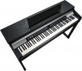 Kurzweil CUP P1