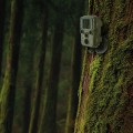 Braun Scouting Cam 800 Mini