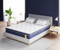 Latona Prime BlueMarine Pacifico